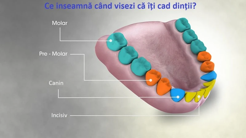 Ce Cauzează Apariția Vise Lor Despre Dinți Căzuți?