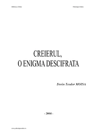 Ce Este Teoria Activării Aleatoare A Creierului?