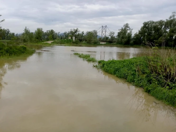 Factori Care Influenteaza Semnificatia Visului Cu Inundatie