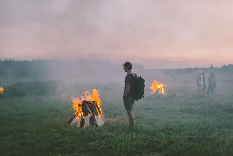 Tipuri De Vise Cu Incendiu