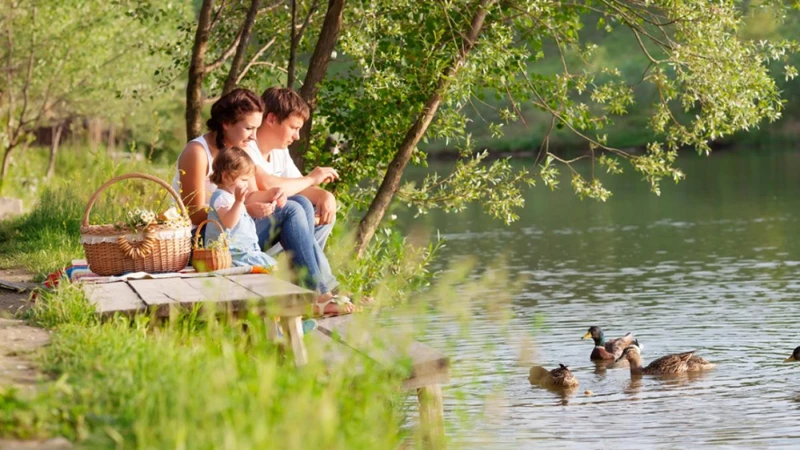 1. Activități În Aer Liber