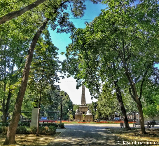 6. Parcul Și Grădina