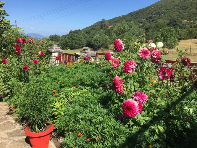 Ce Reprezintă O Grădină Frumoasă În Vis?