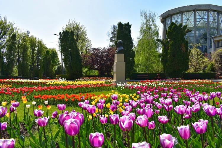 Grădina Botanică Din Iași