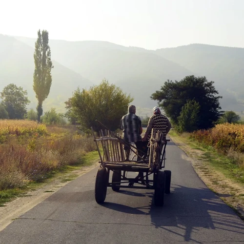 Vise Despre Călătorii Cu Mijloace De Transport